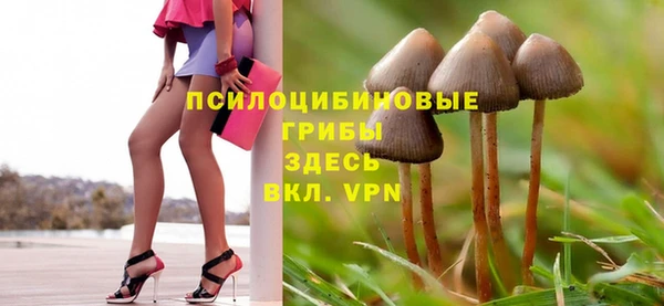 прущая мука Мегион