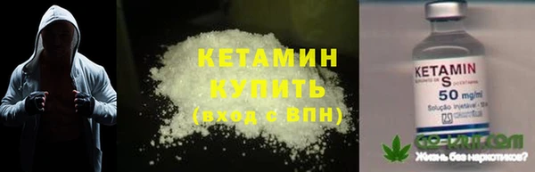 прущие грибы Краснотурьинск