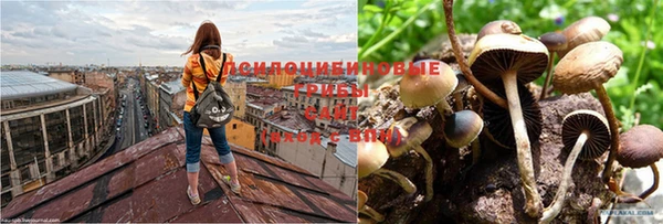 каннабис Краснослободск