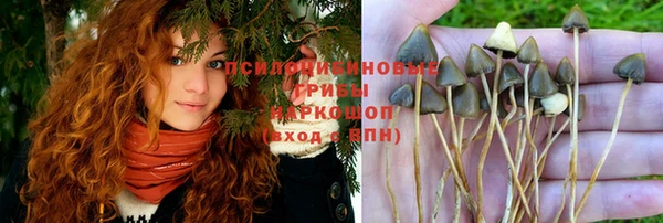 герыч Магас