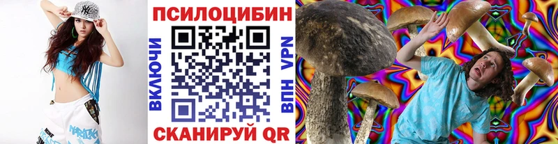 где можно купить наркотик  Малая Вишера  Галлюциногенные грибы мухоморы 